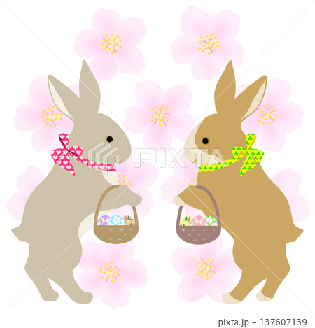 イースター_エッグハント中のウサギ 137607139