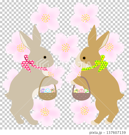 イースター_エッグハント中のウサギ 137607139