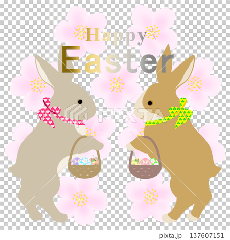 イースター_エッグハント中のウサギ 137607151