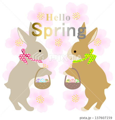 イースター_エッグハント中のウサギ 137607159
