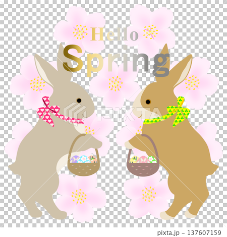 イースター_エッグハント中のウサギ 137607159