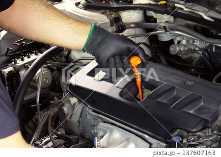Manual Engine Oil Check, A mechanic's gloved hand pulls the oil dipstick Manual Engine Oil Check, A mechanic's gloved hand pulls the oil dipstick 137607163