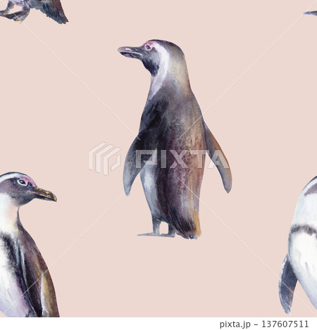 African Jackass Penguin in seamless pattern,Endangered Spectacled Bird of South African and Namibian Coastlines.Hand drawn watercolor illustration,call to preserve an endangered species 137607511