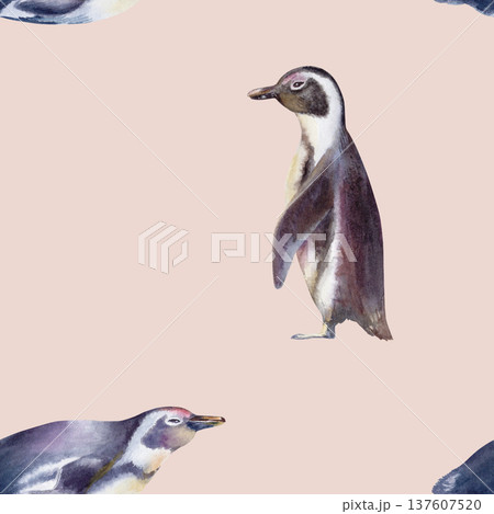 African Jackass Penguin in seamless pattern.The Endangered Spectacled Bird of South African and Namibian Coastlines.Hand drawn isolated watercolor illustration,call to preserve an endangered species African Jackass Penguin in seamless pattern.The Endangered Spectacled Bird of South African and Namibian Coastlines.Hand drawn isolated watercolor illustration,call to preserve an endangered species 137607520