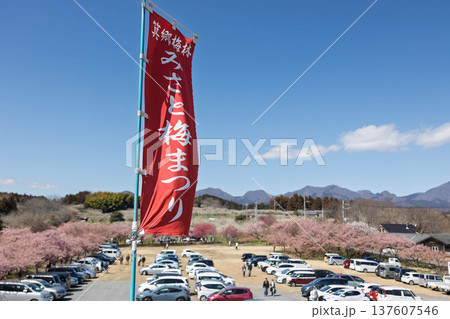 箕郷梅林　善地梅林広場の駐車場 137607546