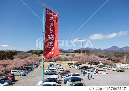 箕郷梅林　善地梅林広場の駐車場 137607547