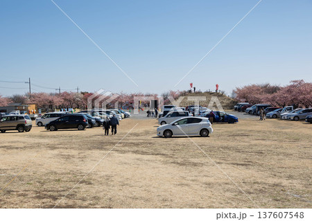 箕郷梅林　善地梅林広場の駐車場 137607548