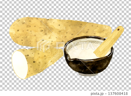 すり鉢に入ったとろろと長芋のセット　手描き水彩イラスト素材 137608418