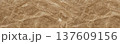 Warm Beige and Brown Marble Texture with Natural Golden Veins  137609156