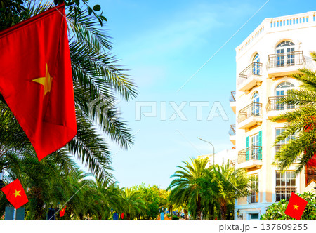 Vietnamese flag on street with palm trees and buildings in coastal. Vietnamese flag on street with palm trees and buildings in coastal. 137609255