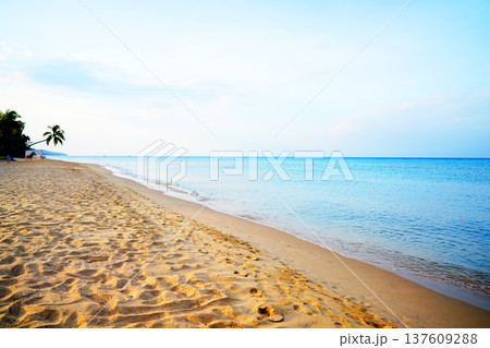Serene beach shows soft sand and calm waves. Beach scene at bright blue sky, gentle waves Serene beach shows soft sand and calm waves. Beach scene at bright blue sky, gentle waves 137609288