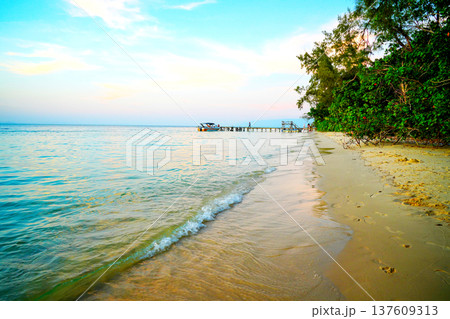 Sunset view of wooden pier with motor boats and people enjoying beach at an ocean shore.  137609313