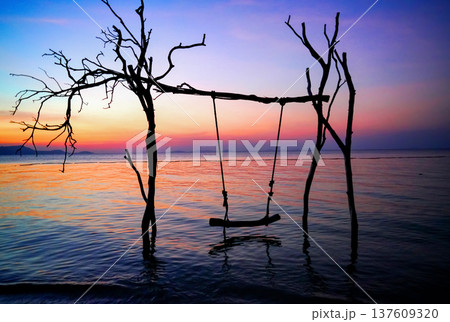 Swing on sea beach on sunset. Swing hangs on tree branch on sandy beach at tropical resort. Swing on sea beach on sunset. Swing hangs on tree branch on sandy beach at tropical resort. 137609320