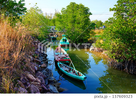 Fshing boats moored in narrow canal among mangroves in rural in Vietnam. 137609323