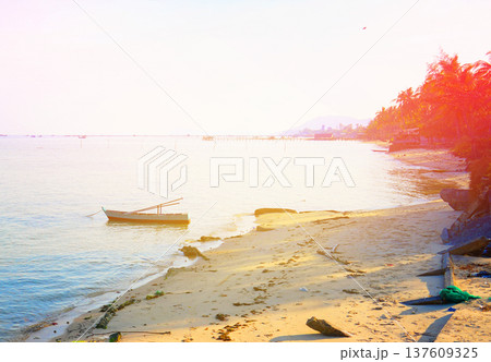 Landscape with traditional wooden boat in shallow water in Vietnam. 137609325