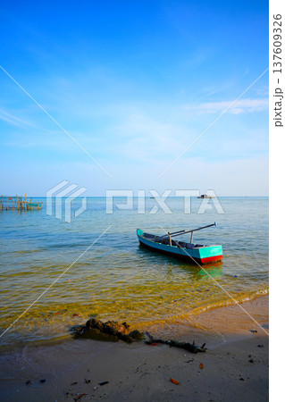 Landscape with traditional wooden boat in shallow water in Vietnam. 137609326