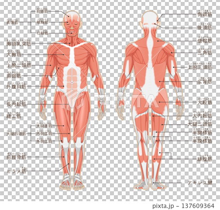 計劃刪除 137609364