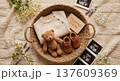 Overhead Newborn Announcement with Beige Knit Sweater Brown Shoes Plaque and Ultrasound 137609369