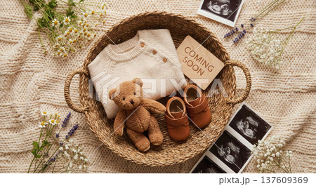Overhead Newborn Announcement with Beige Knit Sweater Brown Shoes Plaque and Ultrasound 137609369