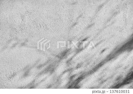 木の影が写る外壁 木の影が写る外壁 137610031