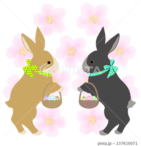 イースター_エッグハント中のウサギ 137610071