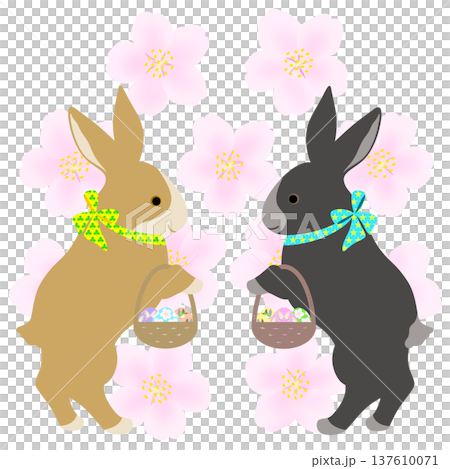 イースター_エッグハント中のウサギ 137610071