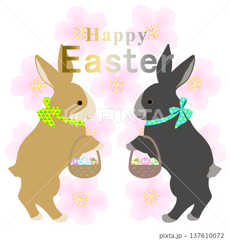 イースター_エッグハント中のウサギ 137610072