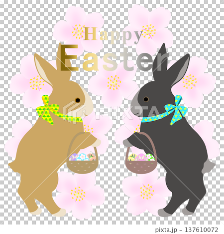イースター_エッグハント中のウサギ 137610072