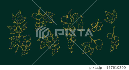 Luxury Golden Currant Line Art. Elegant Botanical Gold Berry Branches, Leaves on Dark Green Background Set. Isolated Outline Hand-Drawn Elements. Vector illustration 137610290