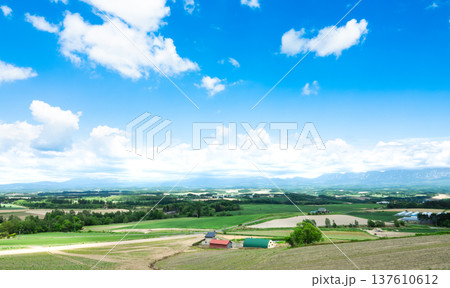 青空と初夏の北海道美瑛町周辺の雄大な風景 137610612