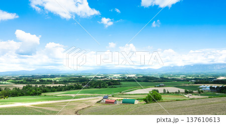 青空と初夏の北海道美瑛町周辺の雄大な風景 137610613