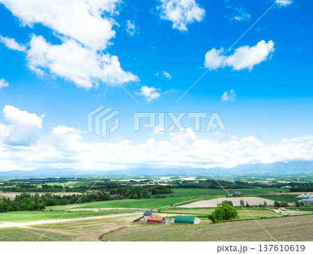 青空と初夏の北海道美瑛町周辺の雄大な風景 青空と初夏の北海道美瑛町周辺の雄大な風景 137610619