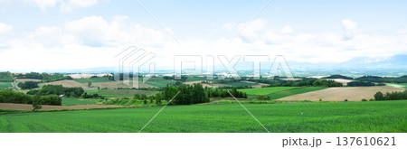 青空と初夏の北海道美瑛町周辺の雄大な風景 137610621