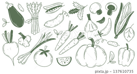 Hand drawn farm vegetables set 137610735