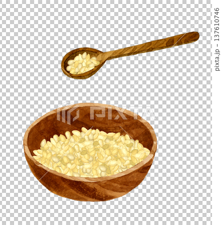 木製の器に入った白ゴマと匙 野菜・薬味の手描き水彩イラスト素材 木製の器に入った白ゴマと匙 野菜・薬味の手描き水彩イラスト素材 137610746