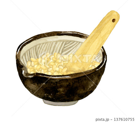 すり鉢に入った白ゴマとすりこぎ　野菜・薬味の手描き水彩イラスト素材 137610755