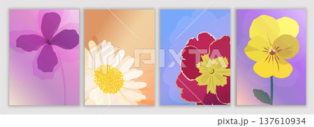 Wildflower botanical template set with copy space featuring daisy primrose pansy and dames rocket 137610934