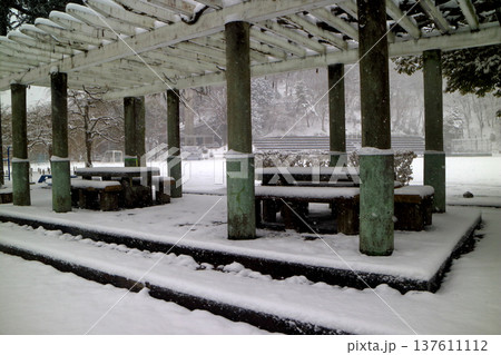 公園の雪景色 137611112