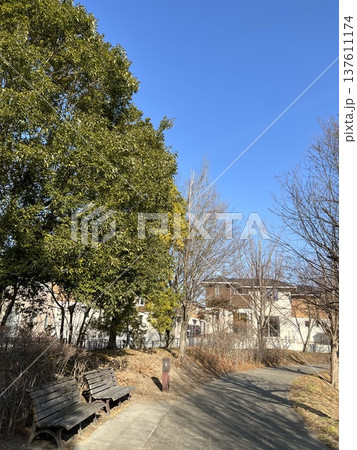 青空と遊歩道 公園のベンチと静かな散歩道の風景 青空と遊歩道 公園のベンチと静かな散歩道の風景 137611174