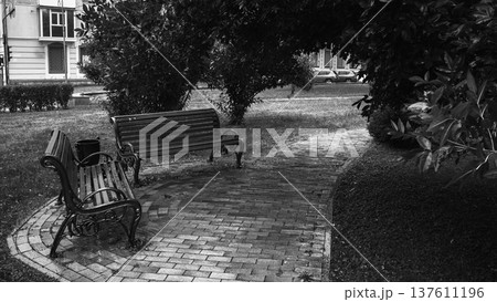 Empty Park Benches on Curved Pathway Empty Park Benches on Curved Pathway 137611196