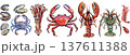 Seafood set with lobster crab squid mussels oysters shrimp 137611388