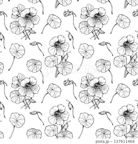 Seamless pattern with hand drawn botanical illustrations of nasturtium flowers, buds, and leaves. Floral sketch on white background. Vector line art for textile, wallpaper, wrapping paper. 137611468