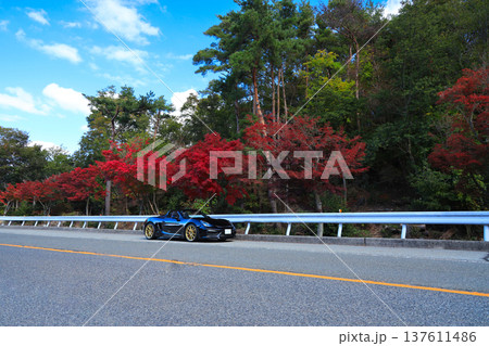 紅葉と黒いオープンカー 紅葉と黒いオープンカー 137611486