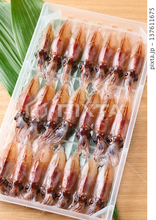 ケースに並べた生ホタルイカ ケースに並べた生ホタルイカ 137611675