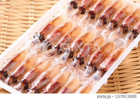 ケースに並べた生ホタルイカ ケースに並べた生ホタルイカ 137611680