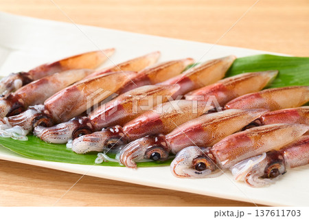 生ホタルイカ 137611703