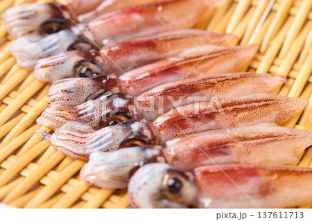 生ホタルイカ 生ホタルイカ 137611713