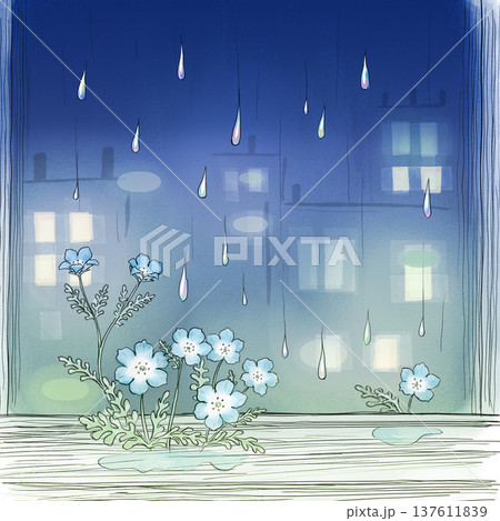 夜のネモフィラ 137611839