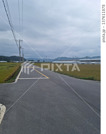 This is a rice paddy landscape in the Korean countryside. This is a rice paddy landscape in the Korean countryside. 137611878