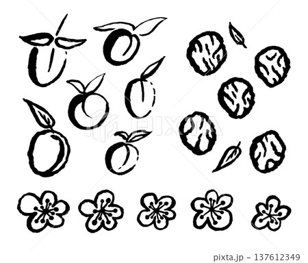 Set of pickled and fresh plums with leaves and flowers. Ink black hand drawn line illustration on white background. Set of pickled and fresh plums with leaves and flowers. Ink black hand drawn line illustration on white background. 137612349